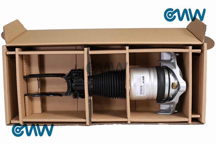 Air Suspension Stutr for Jaguar Front C2C41349 C2C41339 C2C41352 C2C41354 Shock Absorber