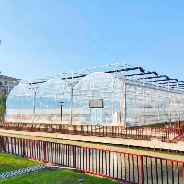 Buy cheap UV Resistant Plastic PE Film Tunnel Fruit Agricultural Greenhouse from wholesalers