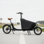 DongDian KANJAI Electric Cargo Bike Ultimate Commuting Solution