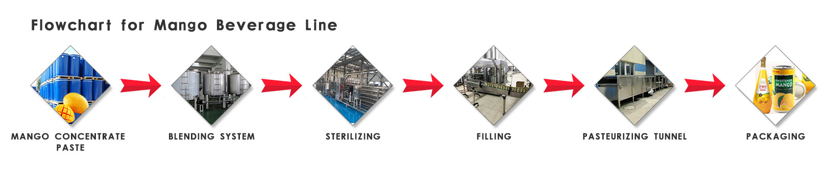 Electric Automatic Mango Processing Equipment Mango Fruit Core Removing Machine