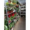 Buy cheap Iron Material Danish Car Danish Flower Trolley To Seedling Sprout from wholesalers