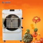 4m2 14 Large Trays Vacuum Food Freeze Dryer Factory Manufacturer for Fruits and