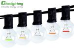 G40 2.4GHZ Wifi Commercial LED String Dimmable Smart Lights