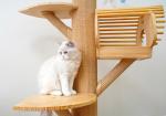 123cm Large Solid Wood Cat Climbing Tree Cat Activity Tower With Scratching