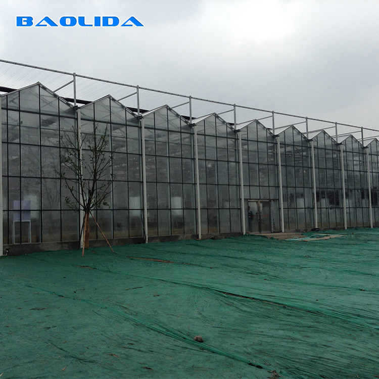 Agriculture FarmingVenlo Type Greenhouse For Fish Vegetable Hydroponics And Aquaponics