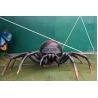 Buy cheap Attractive Realistic Animatronic Insects Spider For Theme Park Exhibition from wholesalers