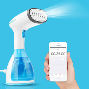 Anti Dry Burning Supported Travel Vertical Garment Steamer for Home Hotel in 20s