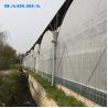 Buy cheap Turnkey Installed Commercial Hydroponic Plastic Film Greenhouses Multi Span from wholesalers