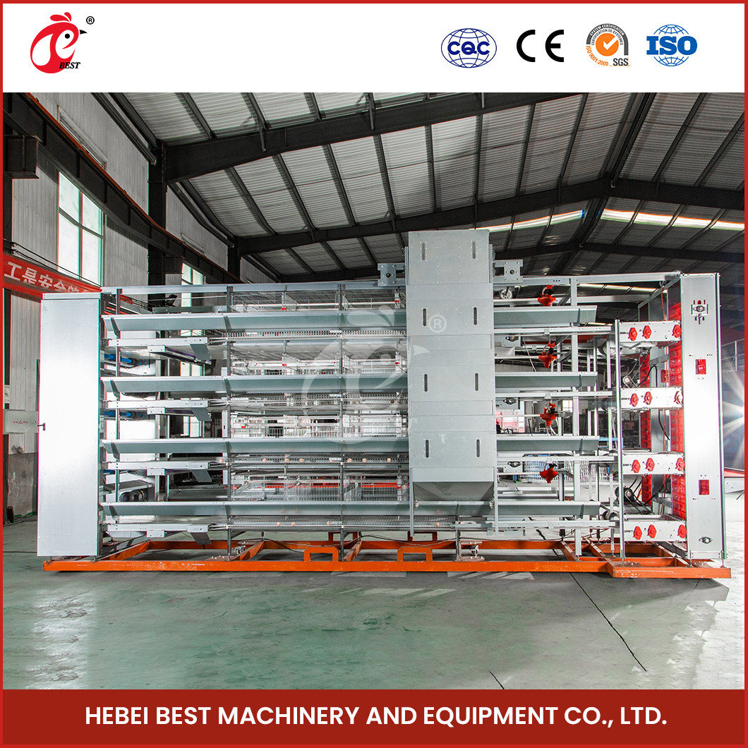 Computer Controlled Raising Automatic Chicken Cage Equipment Star
