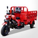Motorized 3 Wheel Cargo Motorcycle 200CC with Heavy Load Cargo Box and Chassis