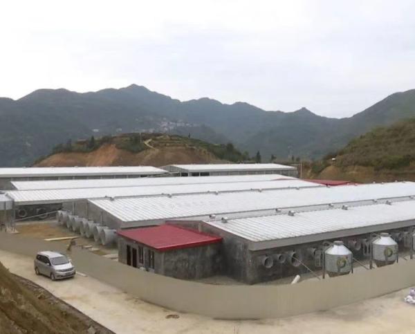 Buy cheap Galvanized Prefabricated Steel Structure with Q355 Q235B Steel Grade from wholesalers