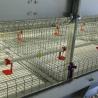 Buy cheap Fire Resistant Chicken Steel Cage , 198 Birds Chick Cage With Heat Lamp from wholesalers