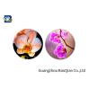 Buy cheap Home Decoration 3D Lenticular Coasters Cup Placemat Beautiful Flower Pattern from wholesalers