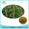 Buy cheap Clear Heart and Regulate Menses Natural Motherwort Herb Extract from wholesalers