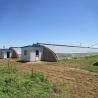Buy cheap Solar Winter Greenhouses Warm Agricultural Greenhouse with Galvanized Steel Frame from wholesalers