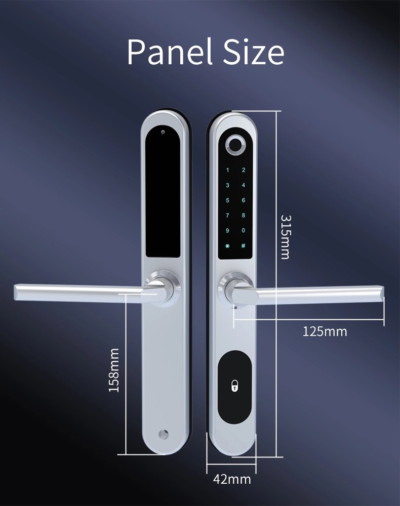 Fingerprint Aluminum Sliding Gate Keyless Waterproof Smart Locks