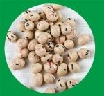 Corn Starch Dry Roasted Peanuts Ready To Eat Munchies Coated Peanuts