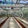 Buy cheap Glass Greenhouse with Hydroponics Growing System Commercial Greenhouse Promotion from wholesalers