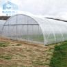Buy cheap Aquaponis Growing Poly Tunnel Plastic Greenhouse For Agriculture from wholesalers