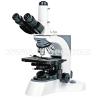 Buy cheap Laboratory Compound Optical Microscope from wholesalers