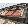 Buy cheap Manufacturer Disposable Paper Molded Dry Fruit Tray Egg Tray Equipment from wholesalers