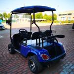 30mph Golf Cart Low Speed Vehicle 2 Passengers LSV With CE Certificated