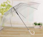 Transparent Clear Bell Shaped Umbrellas / Bridal Umbrella White Cap / Tips