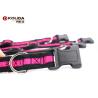 Buy cheap Soft Liner Nylon Dog Collars Padded Airmesh For Small / Medium / Large Dogs from wholesalers