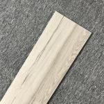 Modern Porcelain Tile Flooring Wood Look Full Body Garden