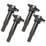 Original Equipment Manufacturer Engine ignition coil 27300-2E000 273002E000 for