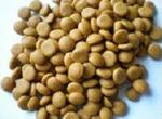 200-300kg / Hr 90kw Pet Food Extruder Machine , Pet Food Processing Machinery