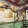 Buy cheap Waterproofing Jurassic World Replica Parasaurolophus Skeleton 15 meters length from wholesalers