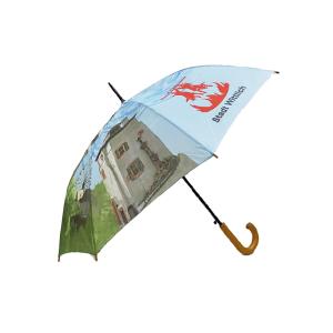 Buy cheap Customized Printed Auto Open Stick Umbrella Curved Handle Unique Canopy from wholesalers