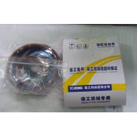 Buy cheap lifting cylinder seal kit 860110718 for XCMG ZL50G XCMG 500F XCMG 500K product