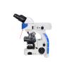 Buy cheap UOP Upright Fluorescence Microscope , High Resolution Fluorescence Microscopy from wholesalers