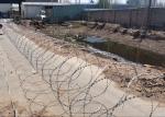 Hot Dipped Galvanized Barbed Razor Blade Concertina Wire For Anti-Piracy