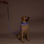 4Ft & 6 Ft &Water Resistant LED Dog Leash - USB Rechargeable Flashing Light
