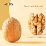New Crop Organic Bulk Wholesale Paper Walnut China Top Nuts and Dried Fruits Raw