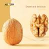 Buy cheap New Crop Organic Bulk Wholesale Paper Walnut China Top Nuts and Dried Fruits Raw Paper Dried Garcinia Fruit 3% Max 5% from wholesalers