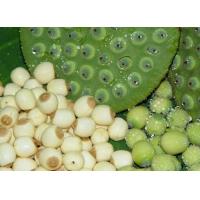 Buy cheap Lotus seed Extract 10:1 TLC Stand against insomnia, 100% natural ingredients or product