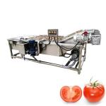 Automatic Conveyor Belt Industrial Fruit Vegetable Cleaning Machine for Farms