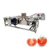 Buy cheap Custom Automatic Fruit Industrial Vegetable Washer For Fruit Processing Plant from wholesalers