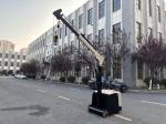 300 KG Lifting Capacity Non Standard Electric Crane Arm Counter Balance Forklift