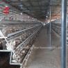 Buy cheap Galvanized A Type Chicken Farming Cage System 20 Years Lifespan Doris from wholesalers