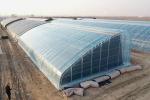 Tech Double Layer Agricultural Plastic Film Hydropoinics Greenhouses for