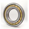 Buy cheap Single Row NU2236 Series Cylindrical Roller Thrust Bearing from wholesalers