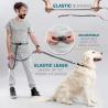 Buy cheap Pet Reflective Two Hand Handle Leash Hands Free Outdoor Portable Running Dog Leash from wholesalers