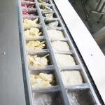 Thermoforming Vacuum Packing Machine Multifunctional Packaging Machine