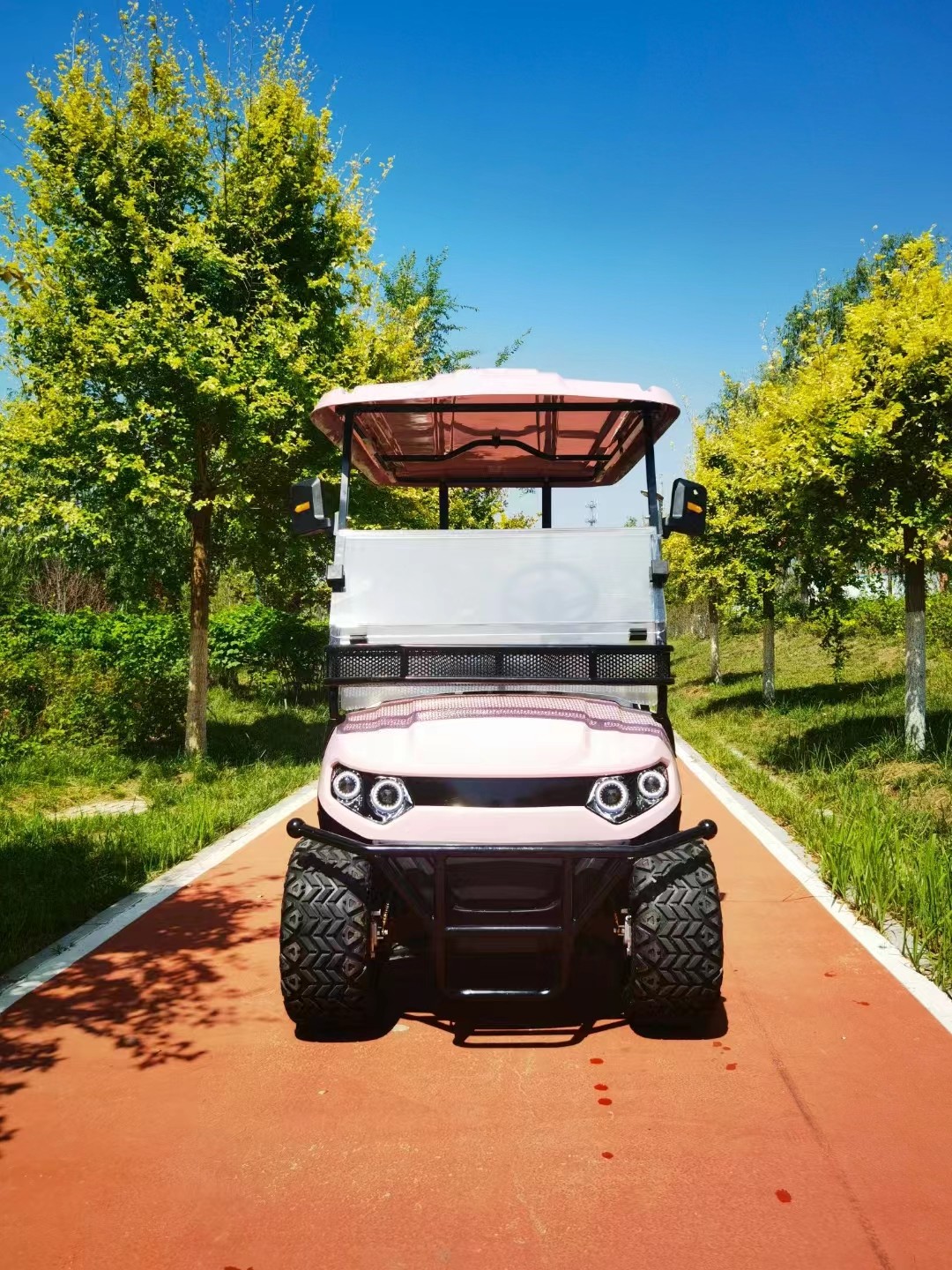 Pink Color 4 Seater Golf Cart Wheelbase 1630mm AC Motor 3.5 KW Ground Clearance 180mm