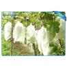 Buy cheap OEM Disposable Nonwoven Fruit Protection Bag For Grape Size 20 cm 22cm from wholesalers